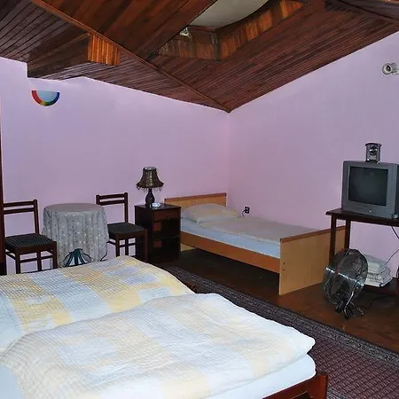 Pensjonat Gaja Nowy Sad