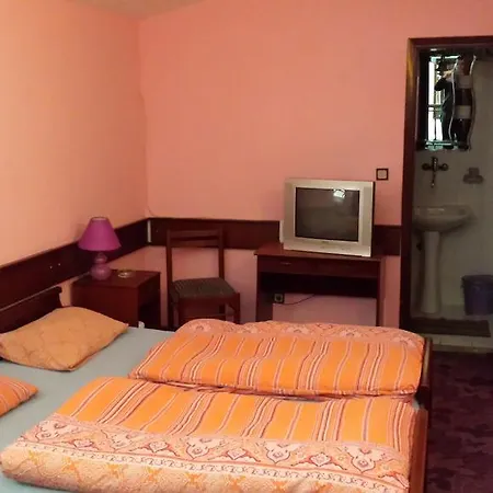 Guest house Gaja *